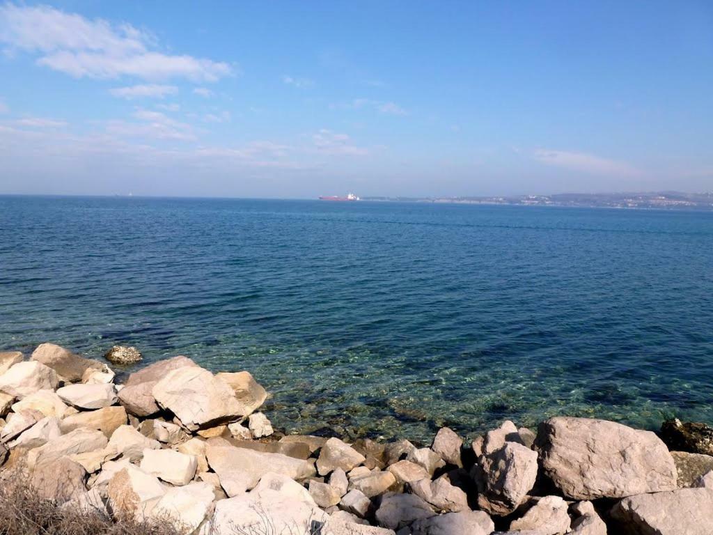 Apartma Zusterna Capodistria Esterno foto